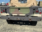 General Appearance with Paint