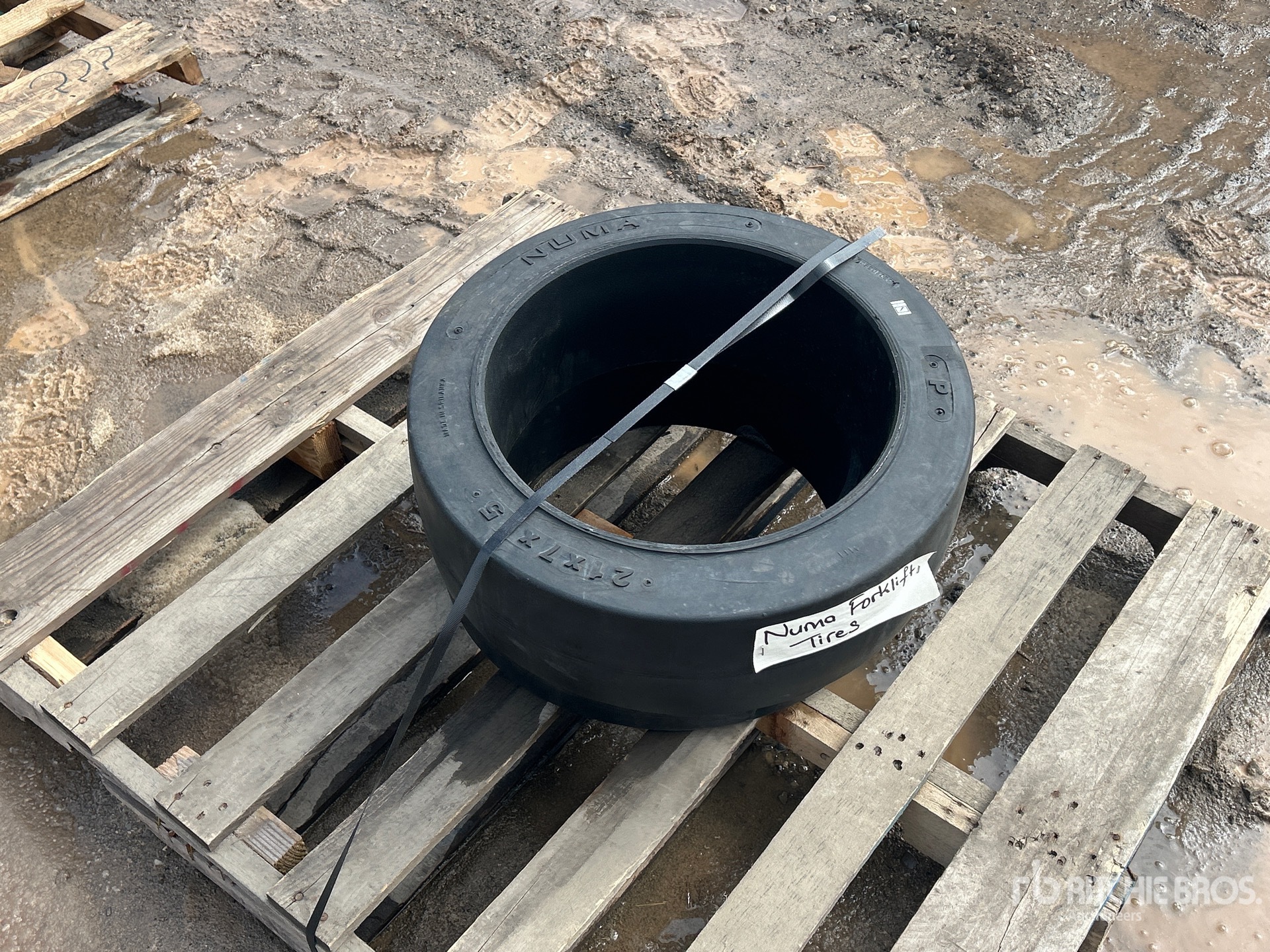 General Appearance with Bild, Ecke vorne rechts