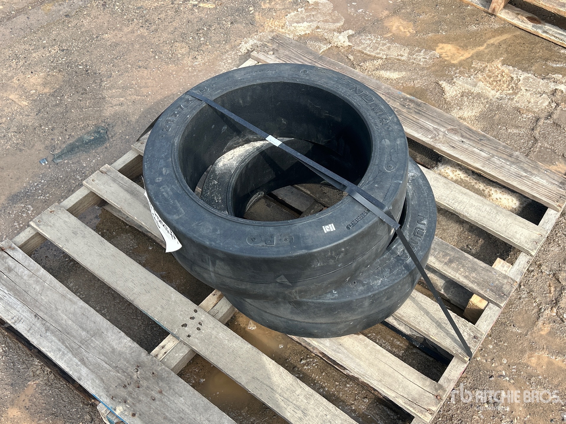 General Appearance with Bild, Ecke vorne links