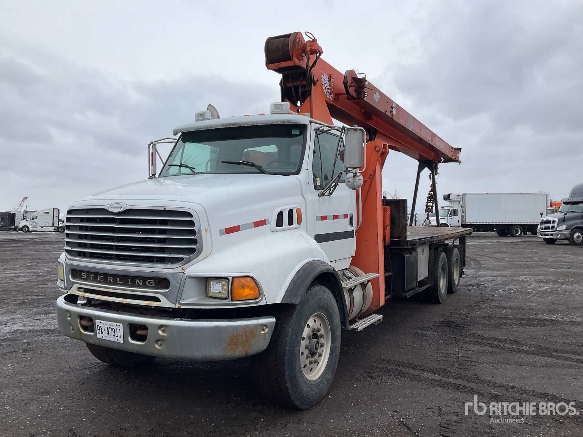 General Appearance with Spin