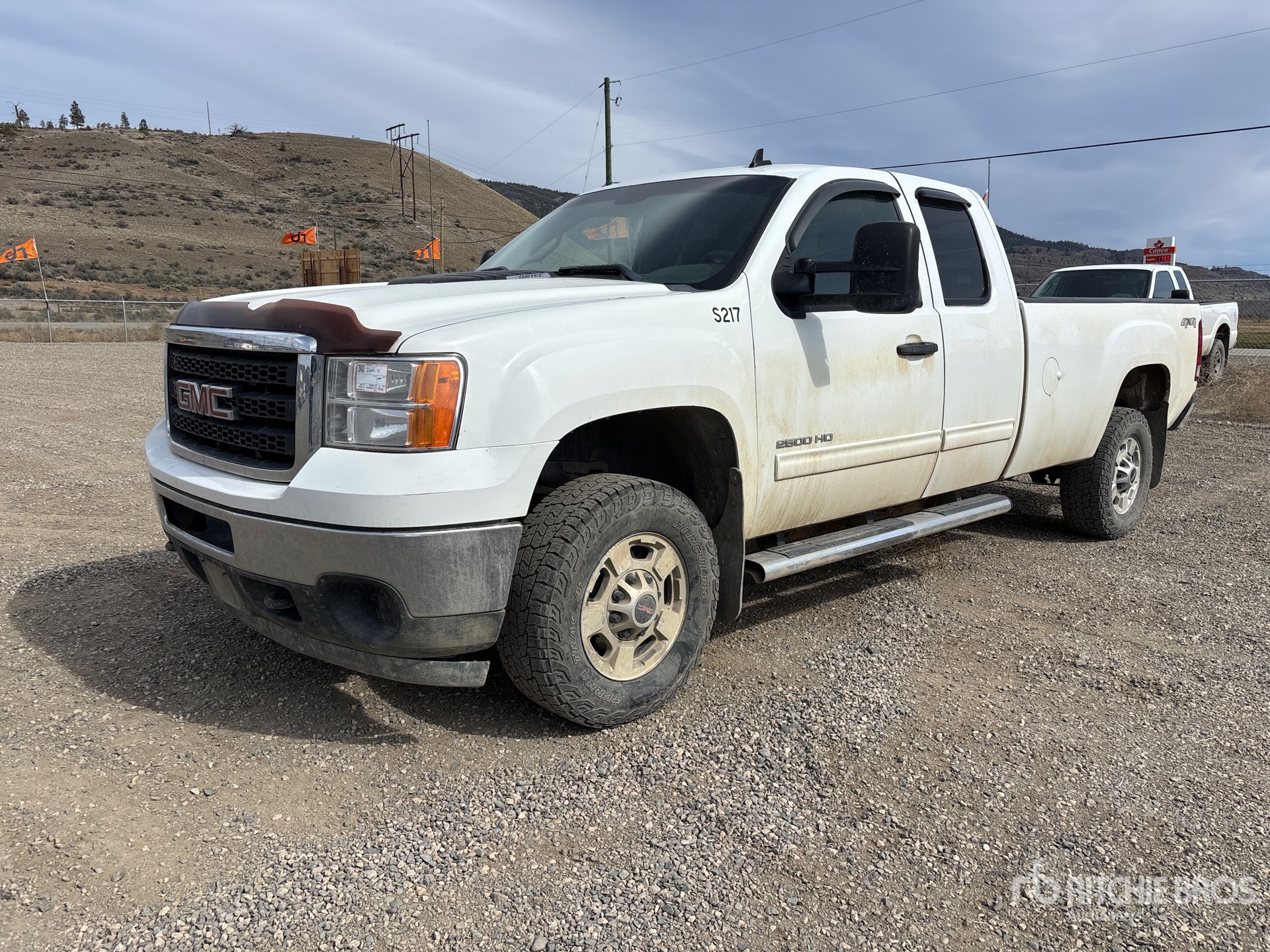 General Appearance with Spin