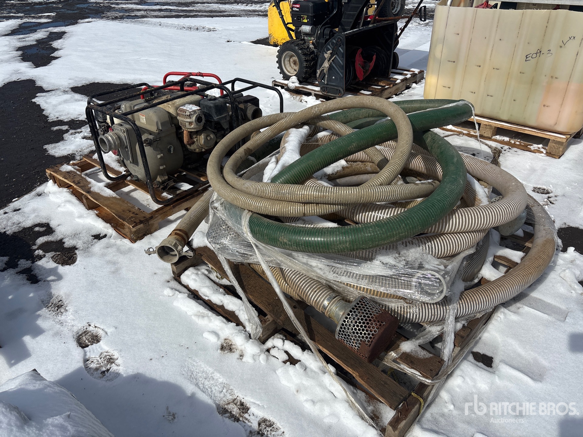 General Appearance with Imagen: esquina trasera derecha