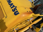 General Appearance with Paint