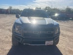 General Appearance with Paint