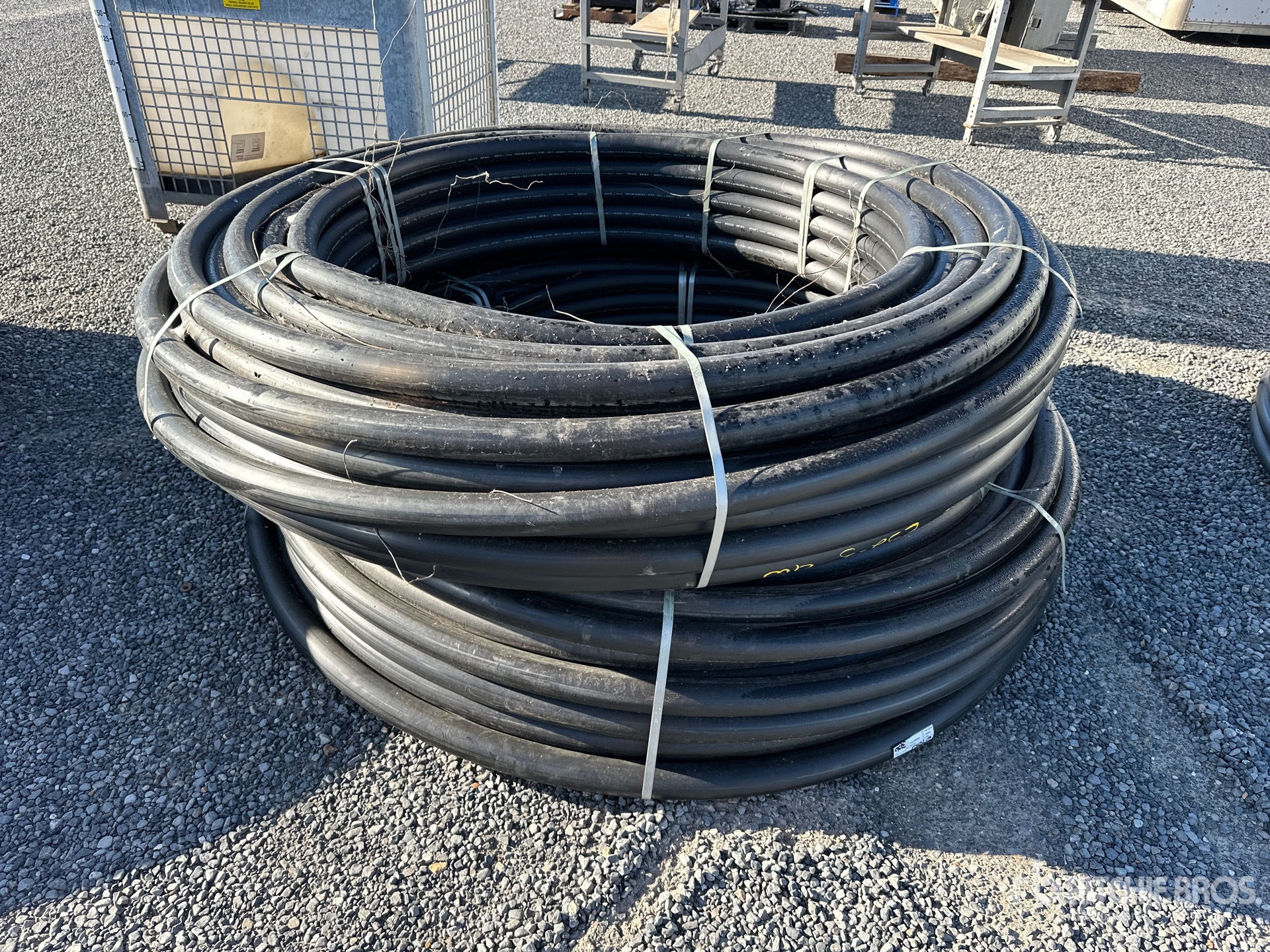 General Appearance with Bild, Ecke vorne links