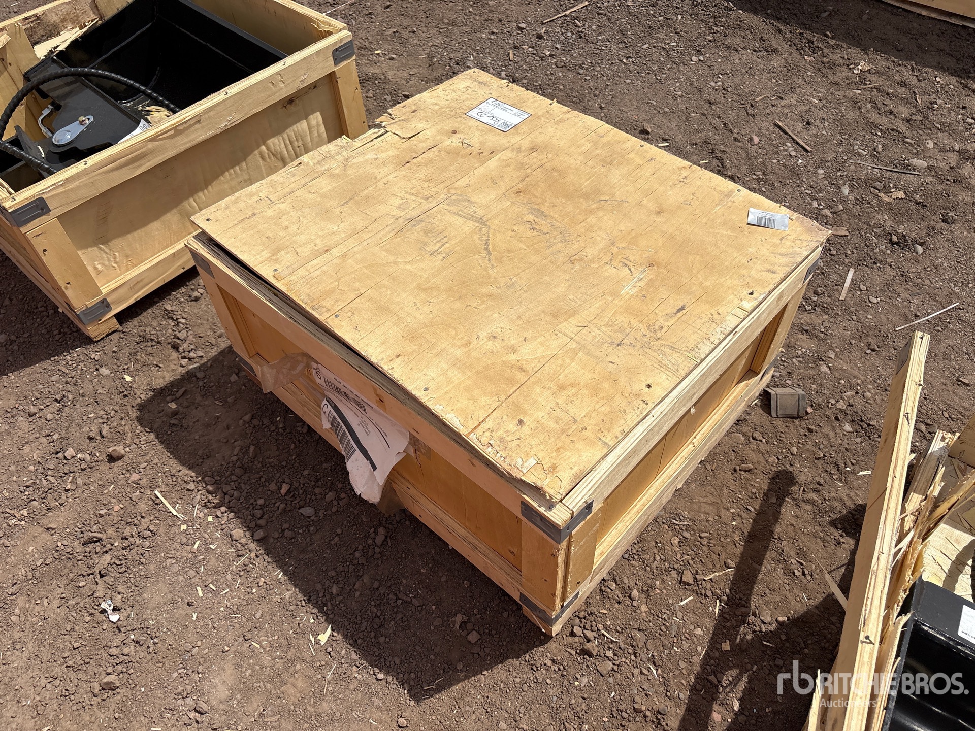 General Appearance with Zdjęcie, lewy górny róg