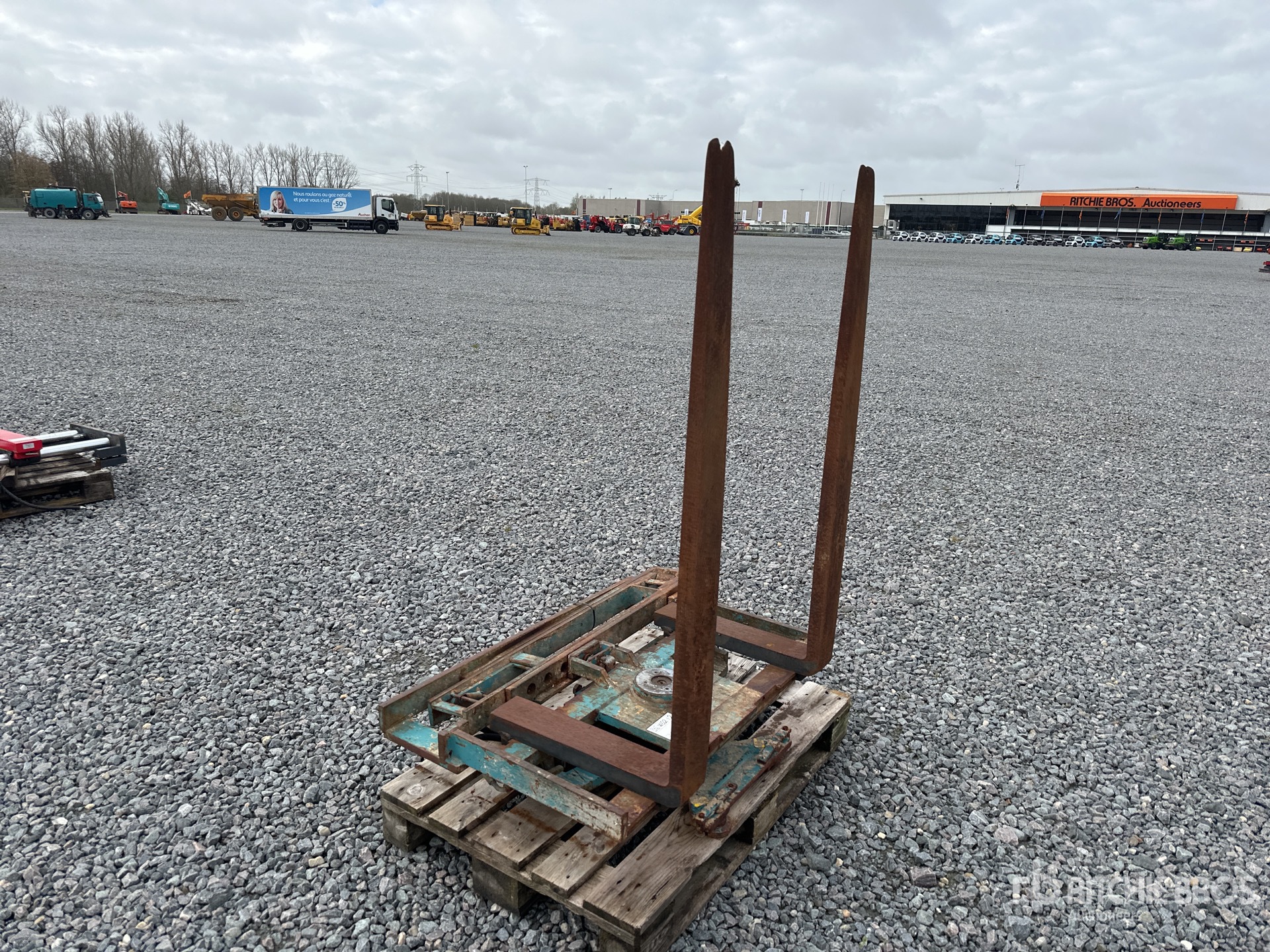 General Appearance with Bild, Ecke vorne links