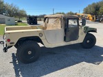 General Appearance with Paint