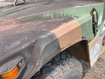 General Appearance with Paint