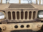 General Appearance with Paint