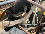 Engine with Fuel System