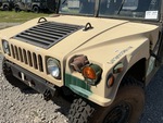 General Appearance with Paint