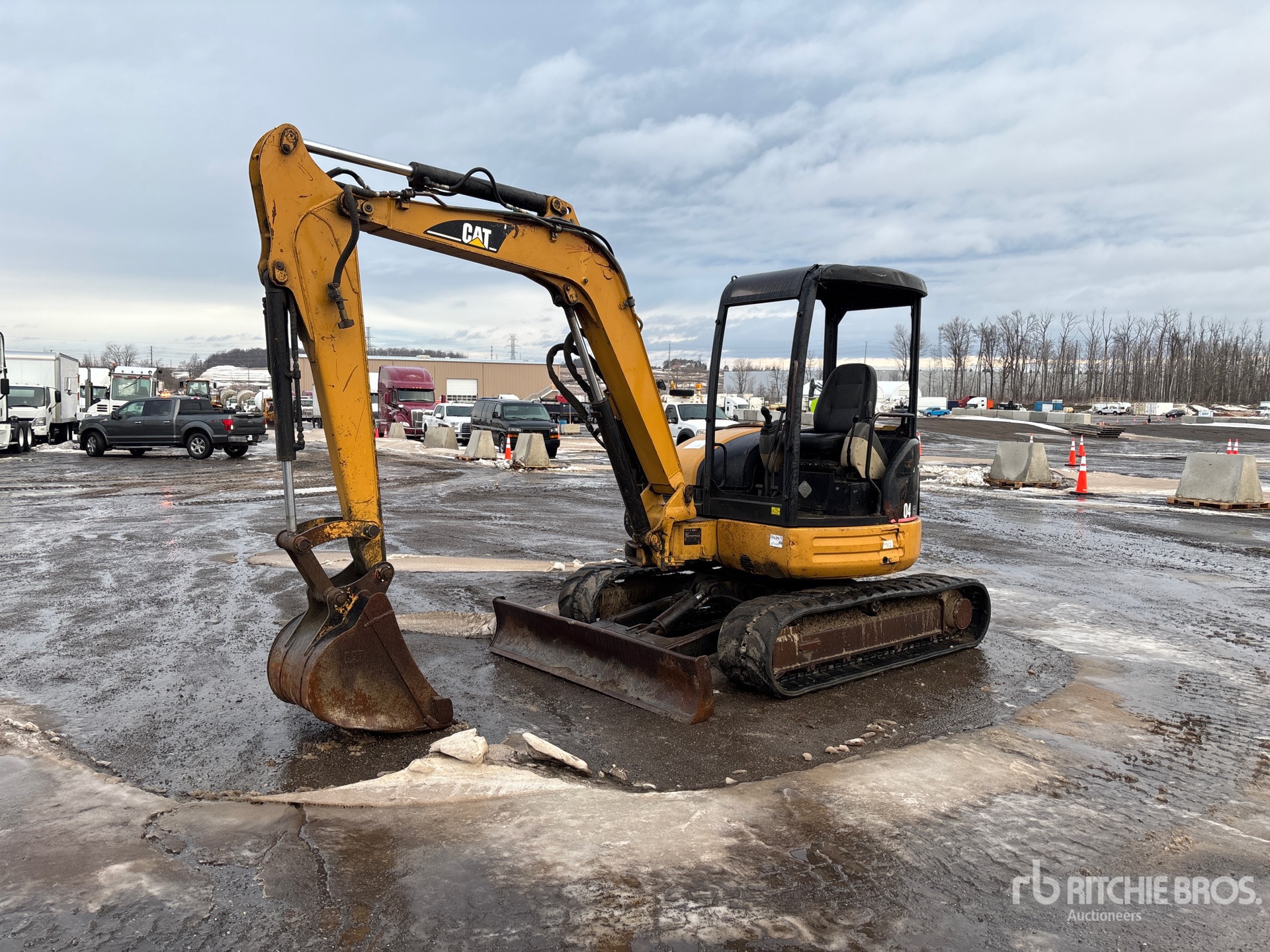 General Appearance with Spin