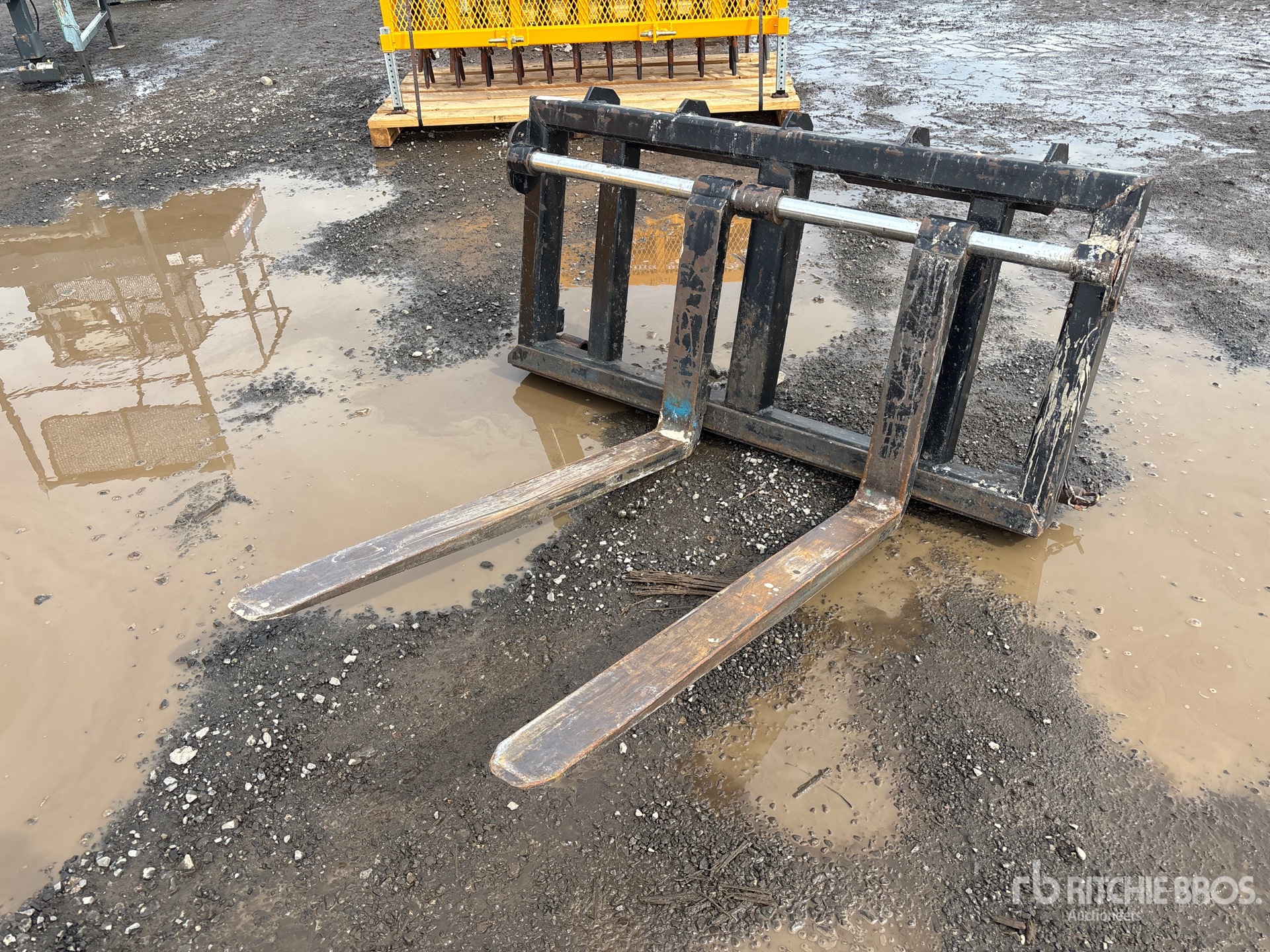 General Appearance with Bild, Ecke vorne links