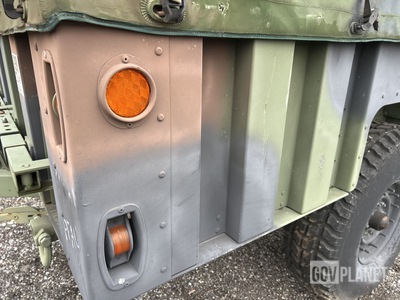 General Appearance with Paint