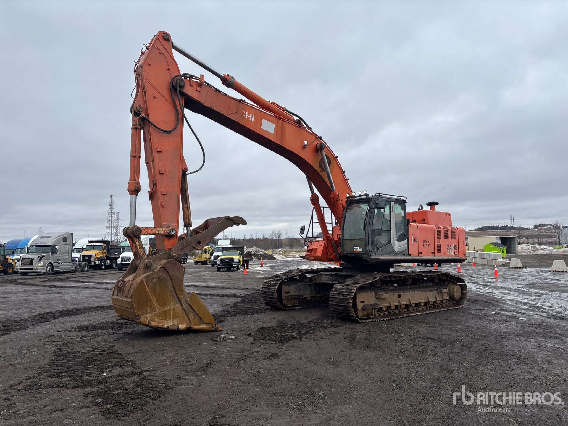 General Appearance with Spin