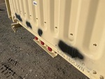 General Appearance with Paint