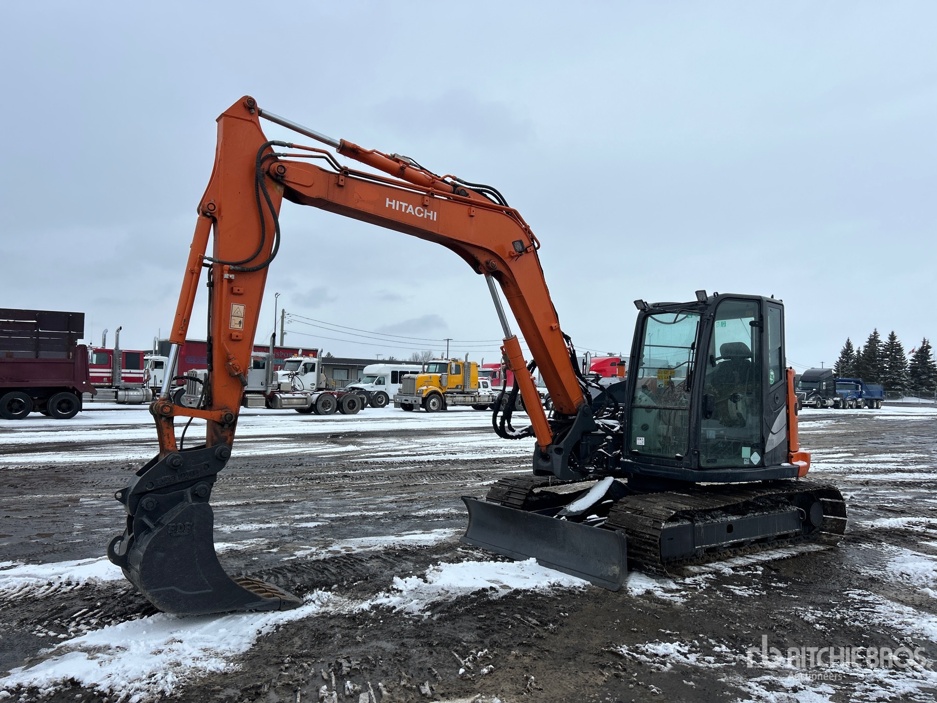 General Appearance with Spin