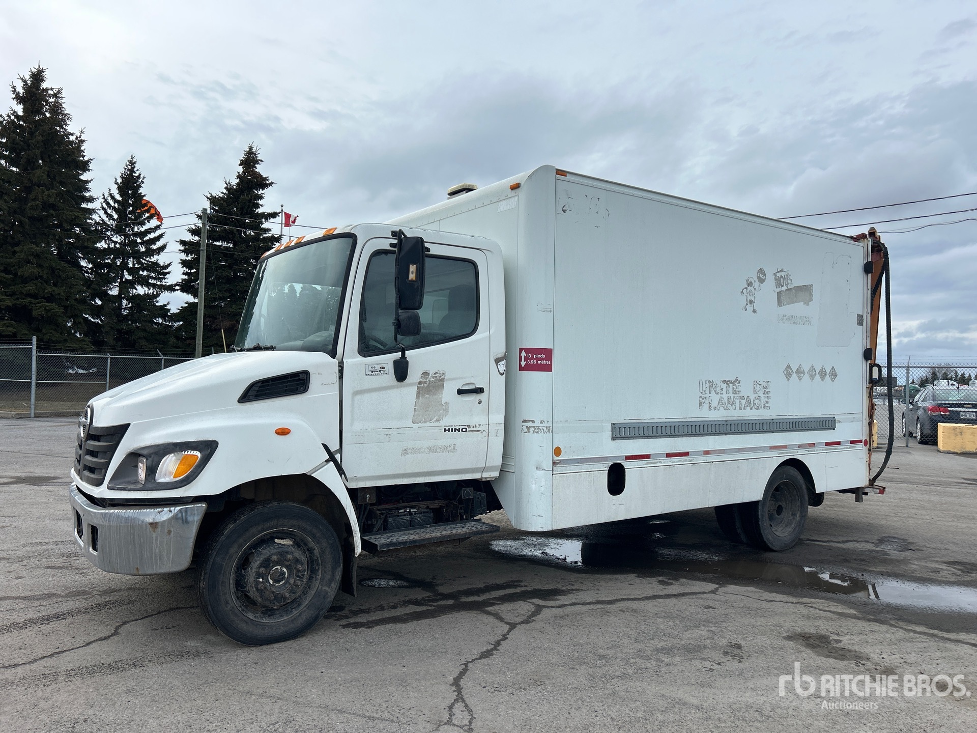 General Appearance with Spin