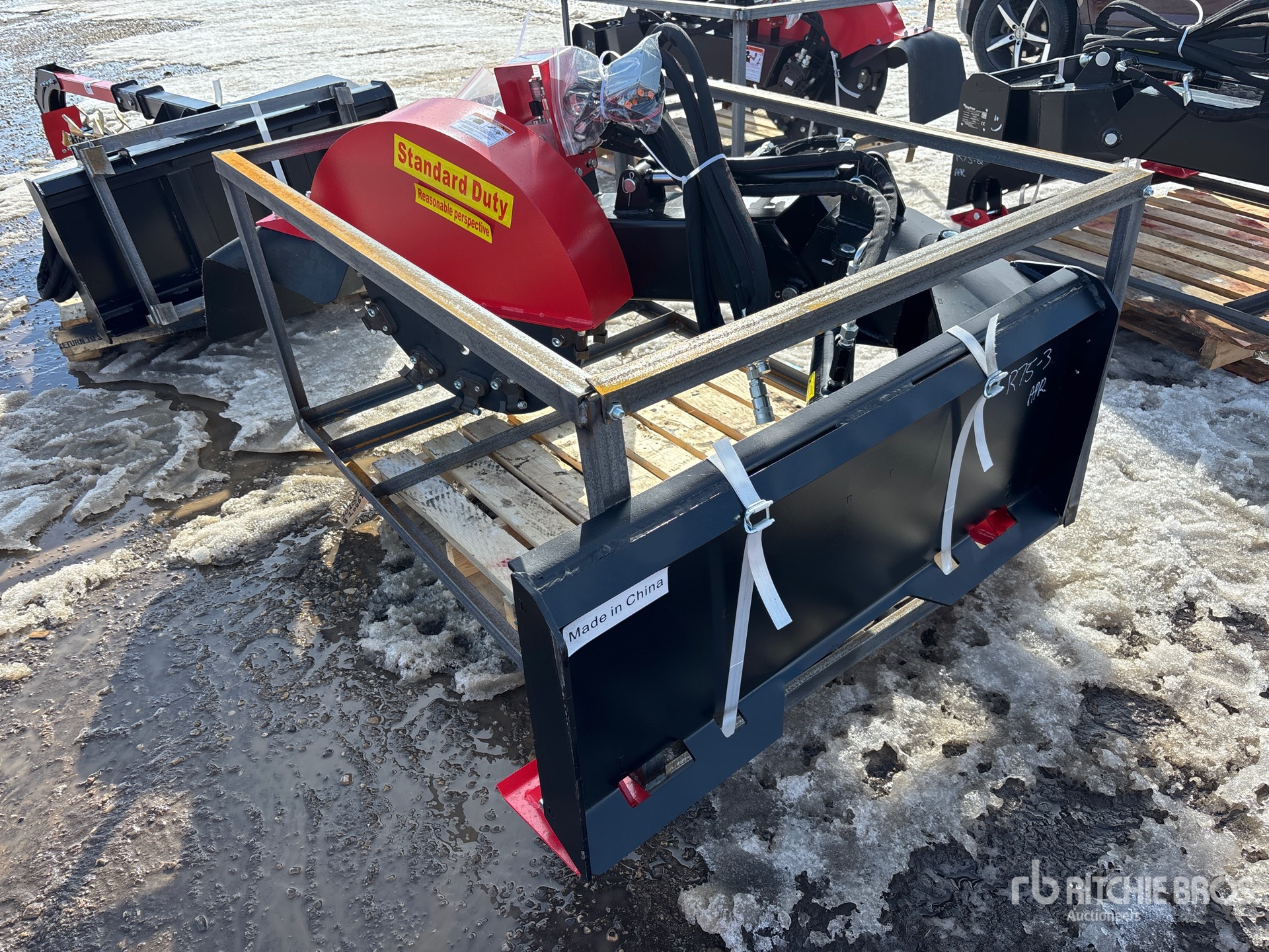 General Appearance with Picture, Left Rear Corner