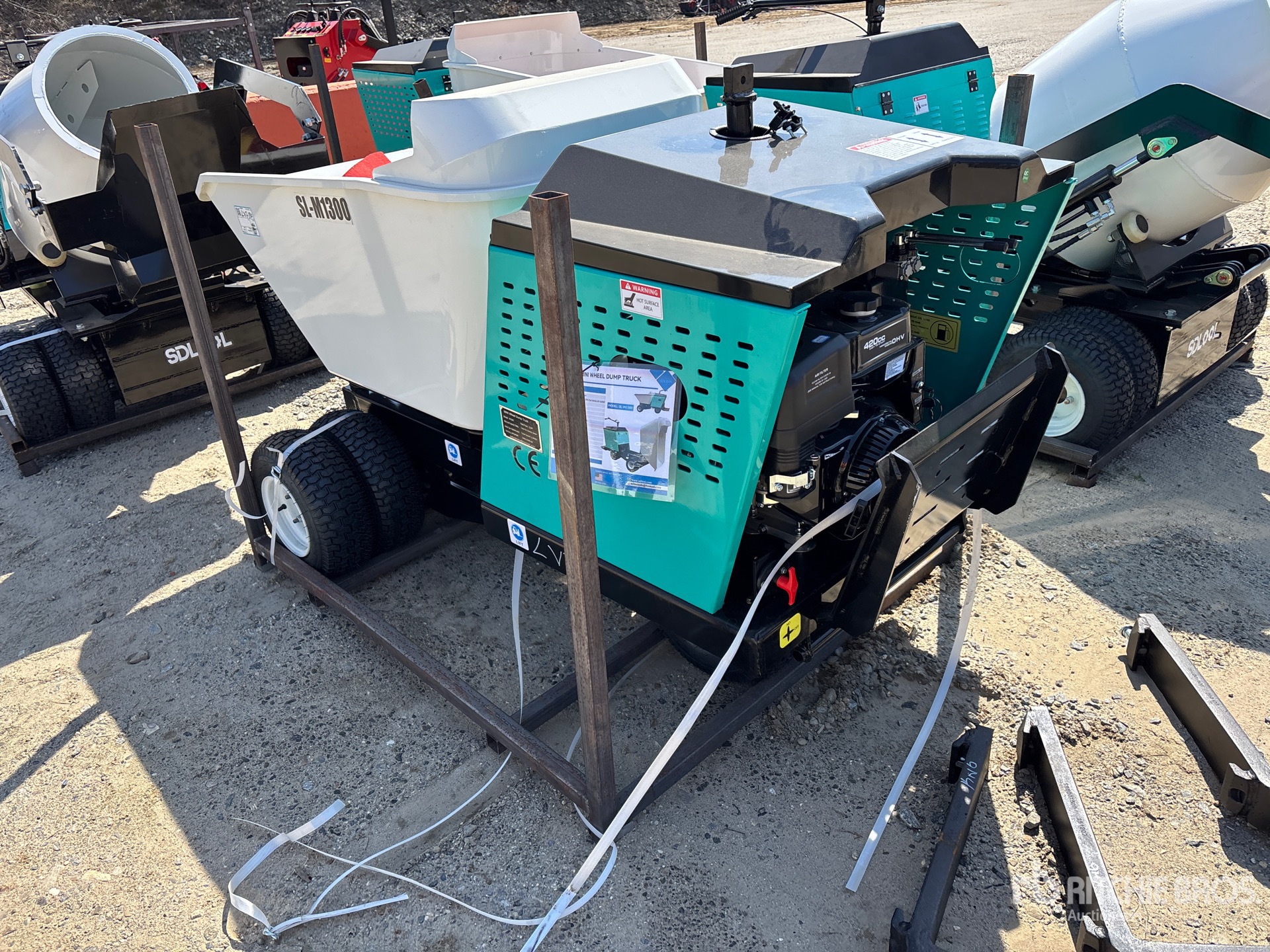 General Appearance with Picture, Left Rear Corner