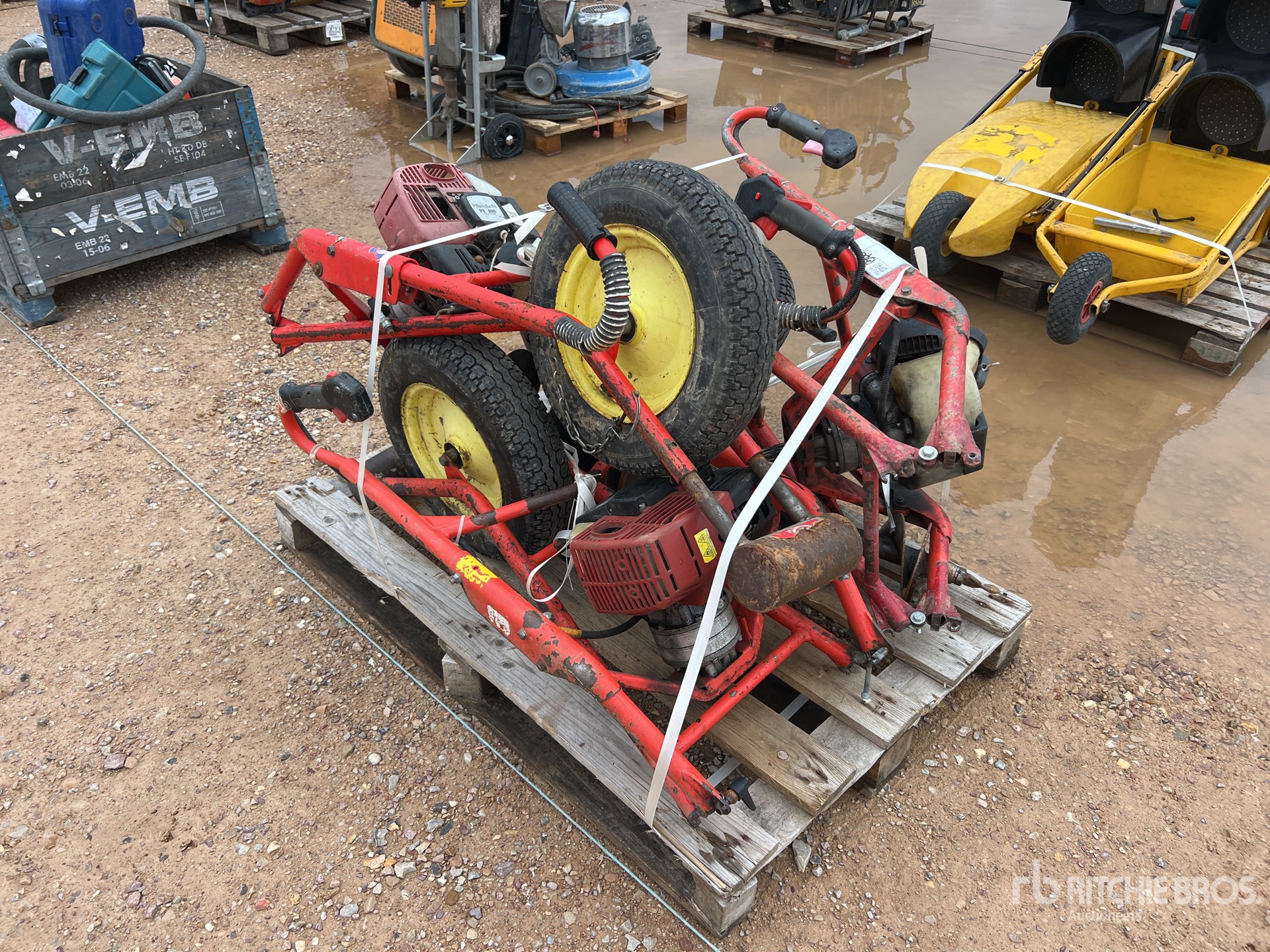 General Appearance with