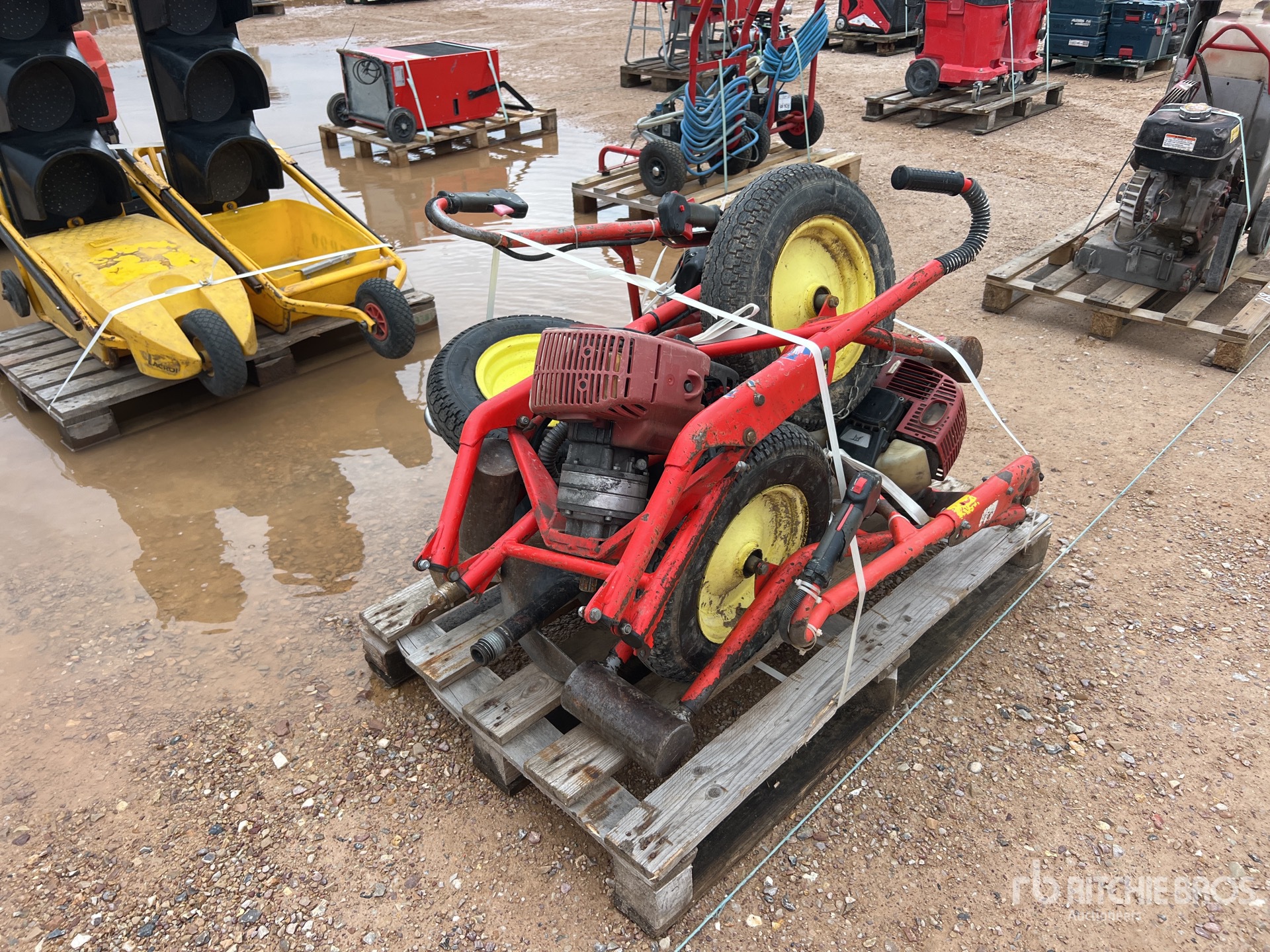 General Appearance with