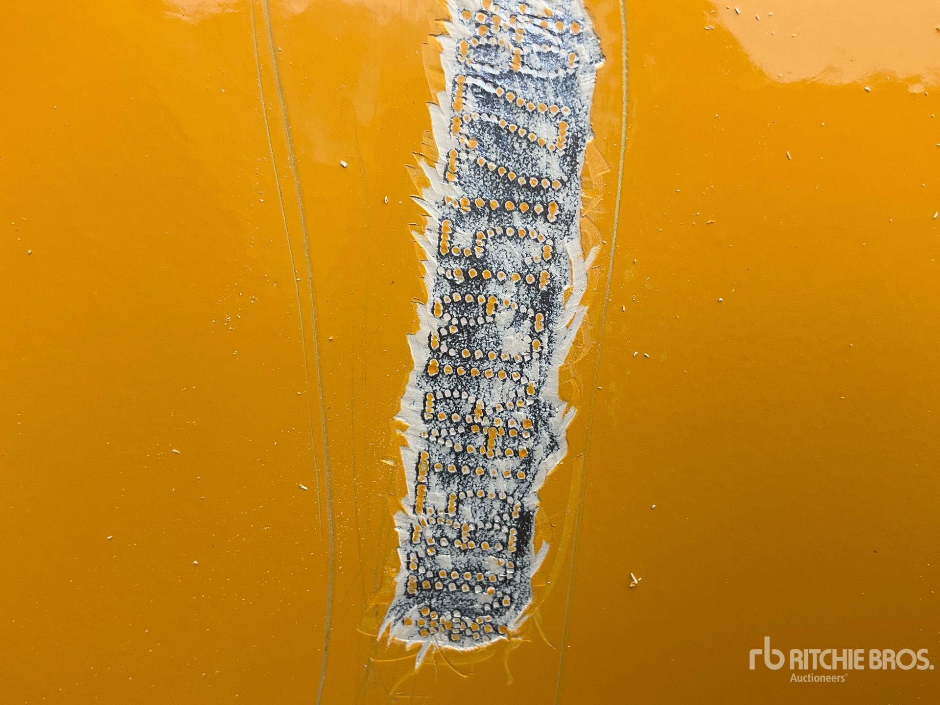 General Appearance with Numero seriale/numero d’identificazione del veicolo (VIN)