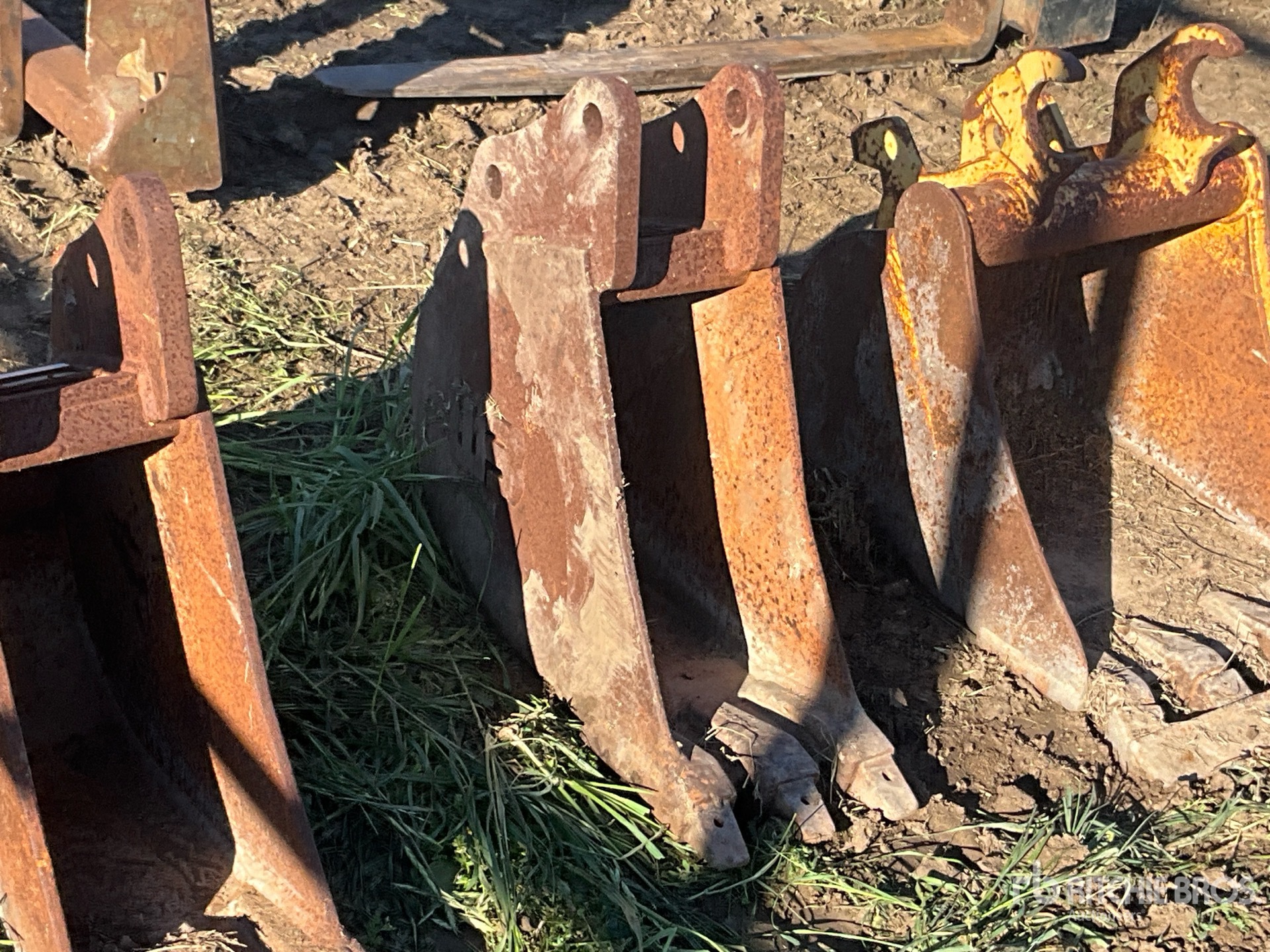 General Appearance with Foto, angolo anteriore destro