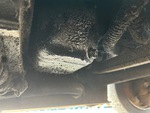 Engine with Oil Leaks