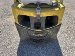 General Appearance with Paint