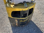 General Appearance with Paint
