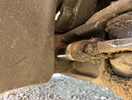 Hydraulics with Steering Cylinders