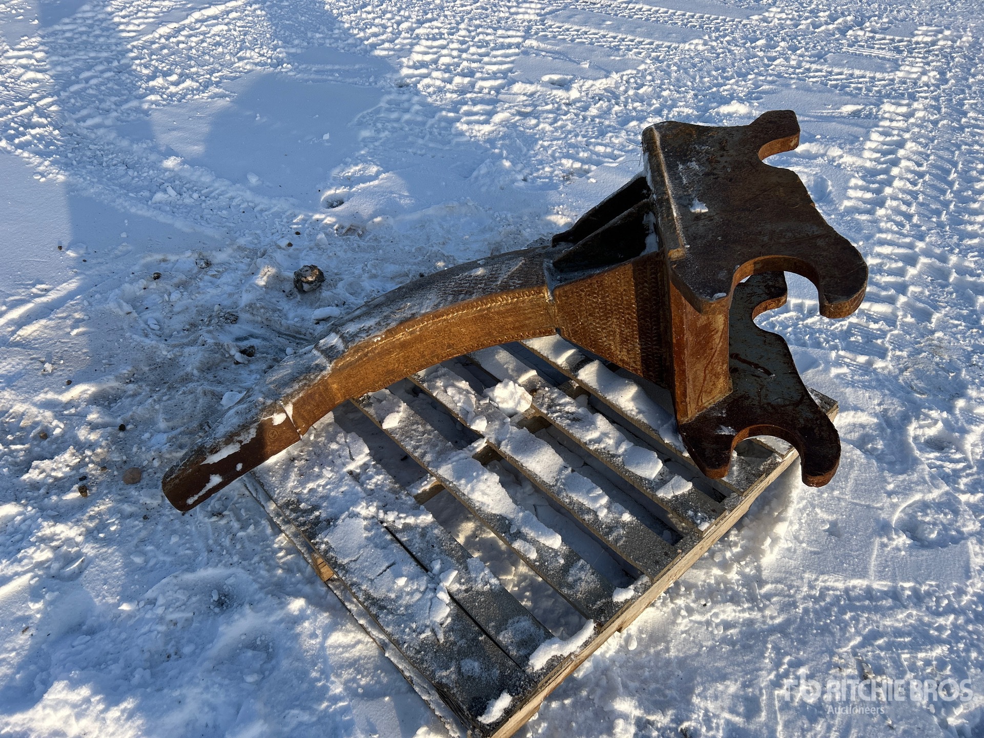 General Appearance with Foto, angolo anteriore sinistro