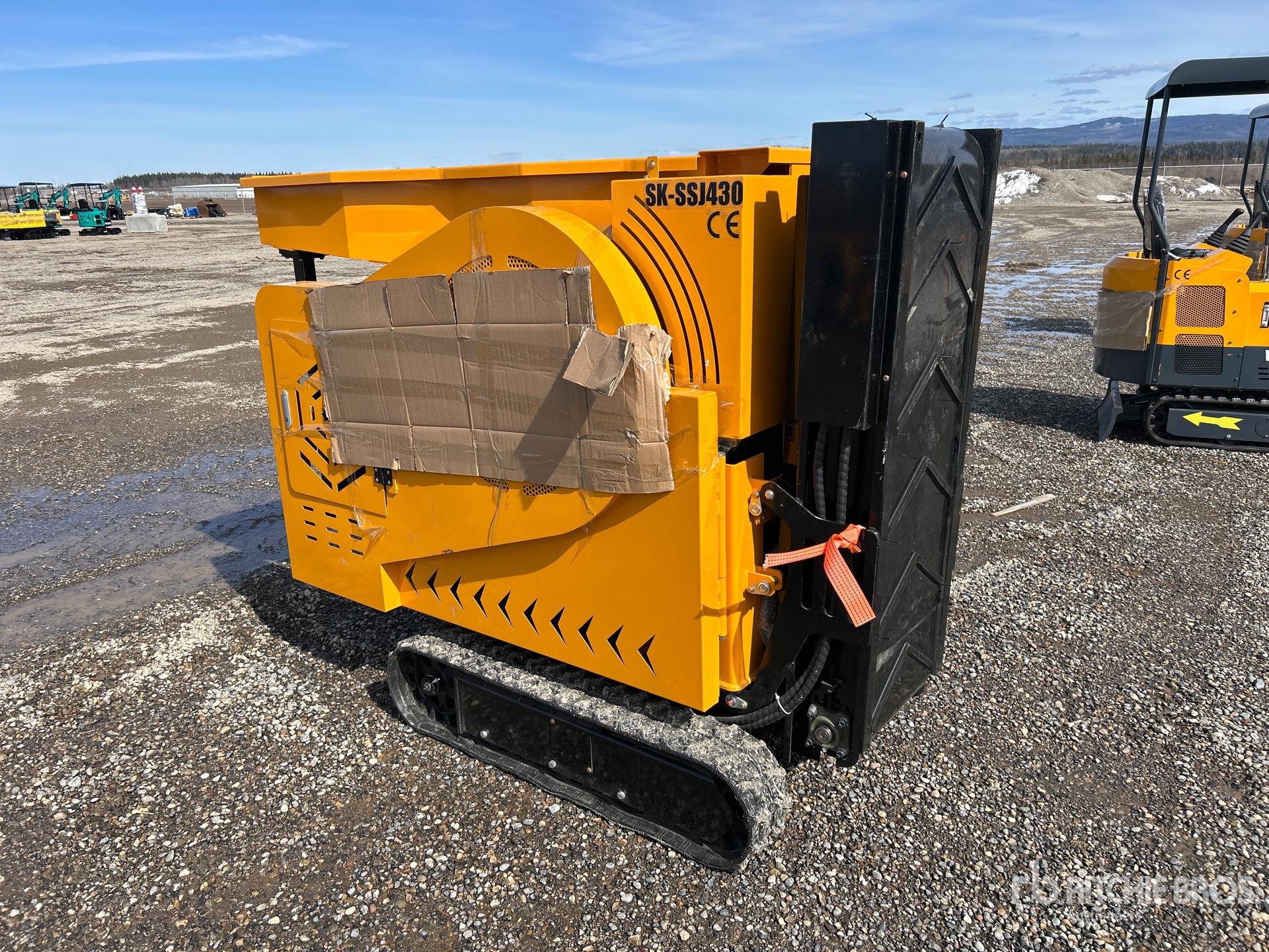 General Appearance with Bild, Ecke hinten links