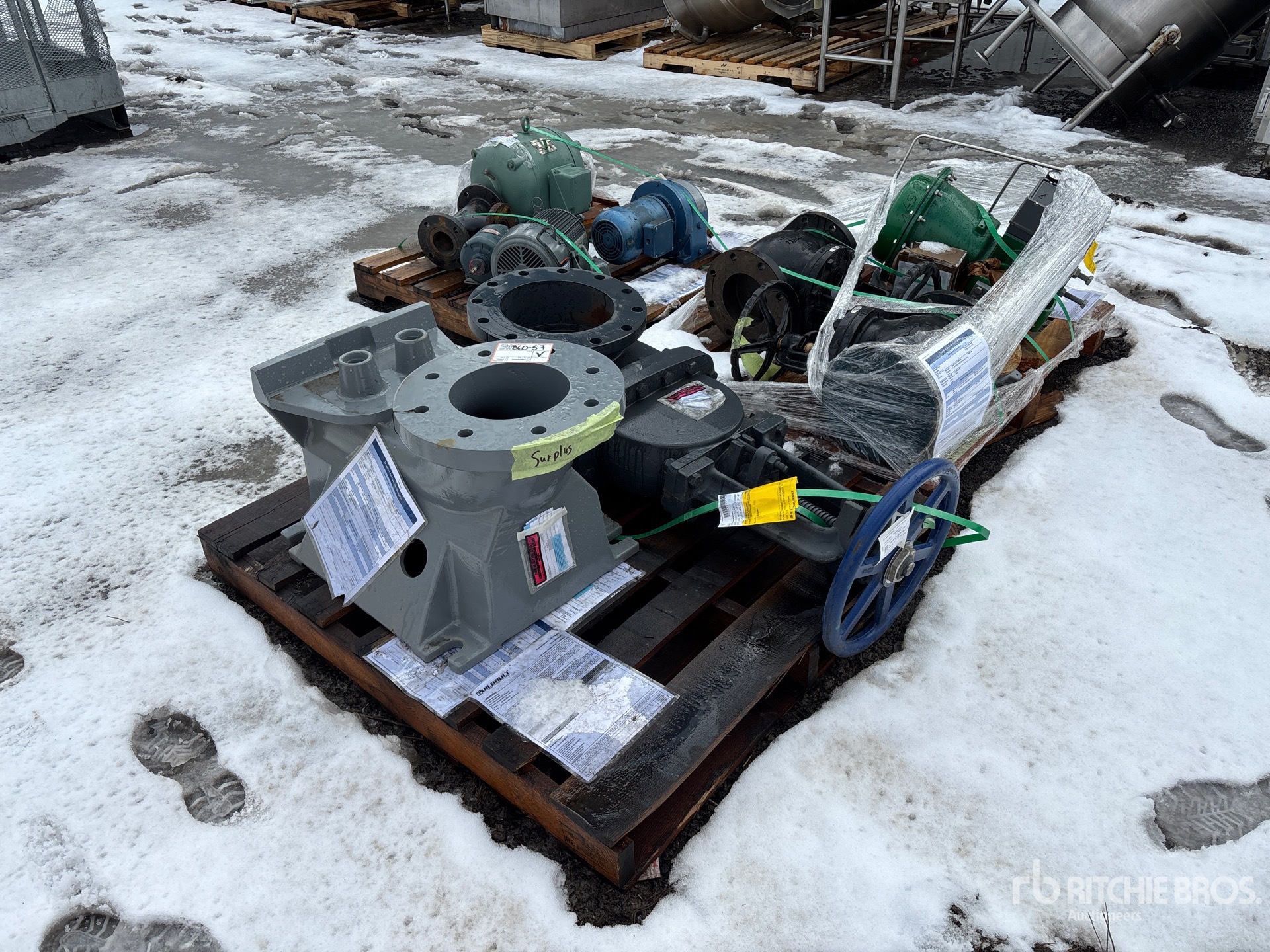 General Appearance with Bild, Ecke hinten links