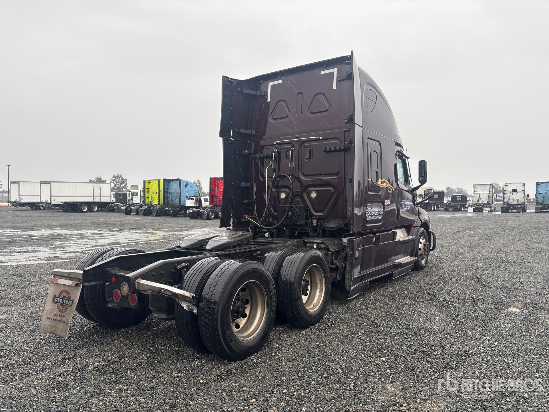 General Appearance with Image, coin arrière droit