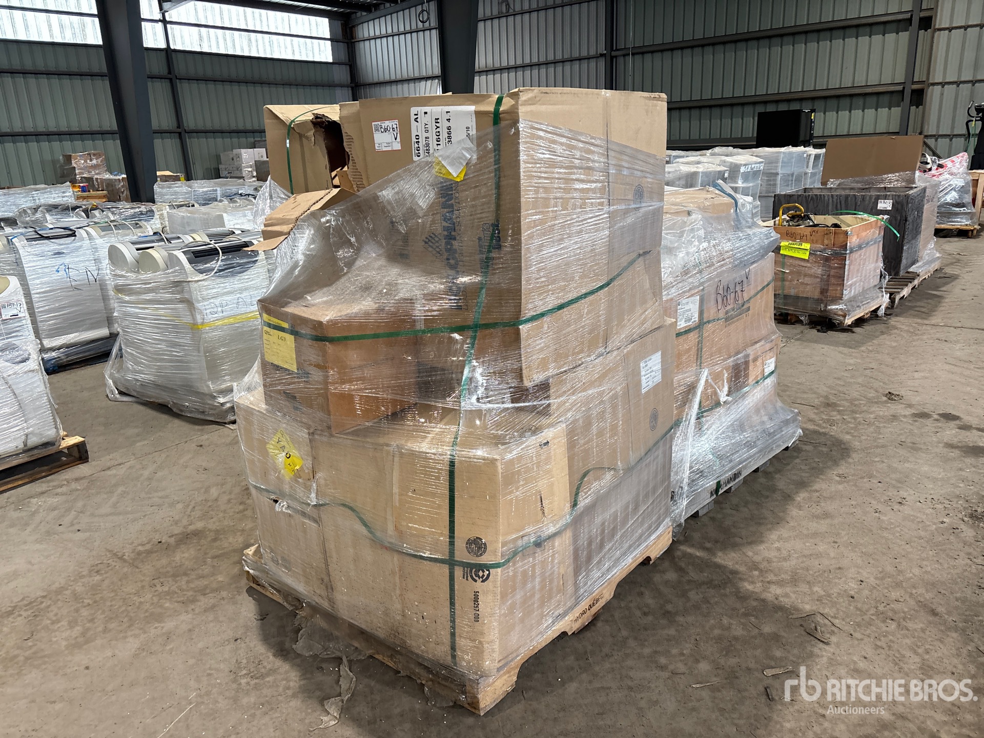 General Appearance with Bild, Ecke vorne links