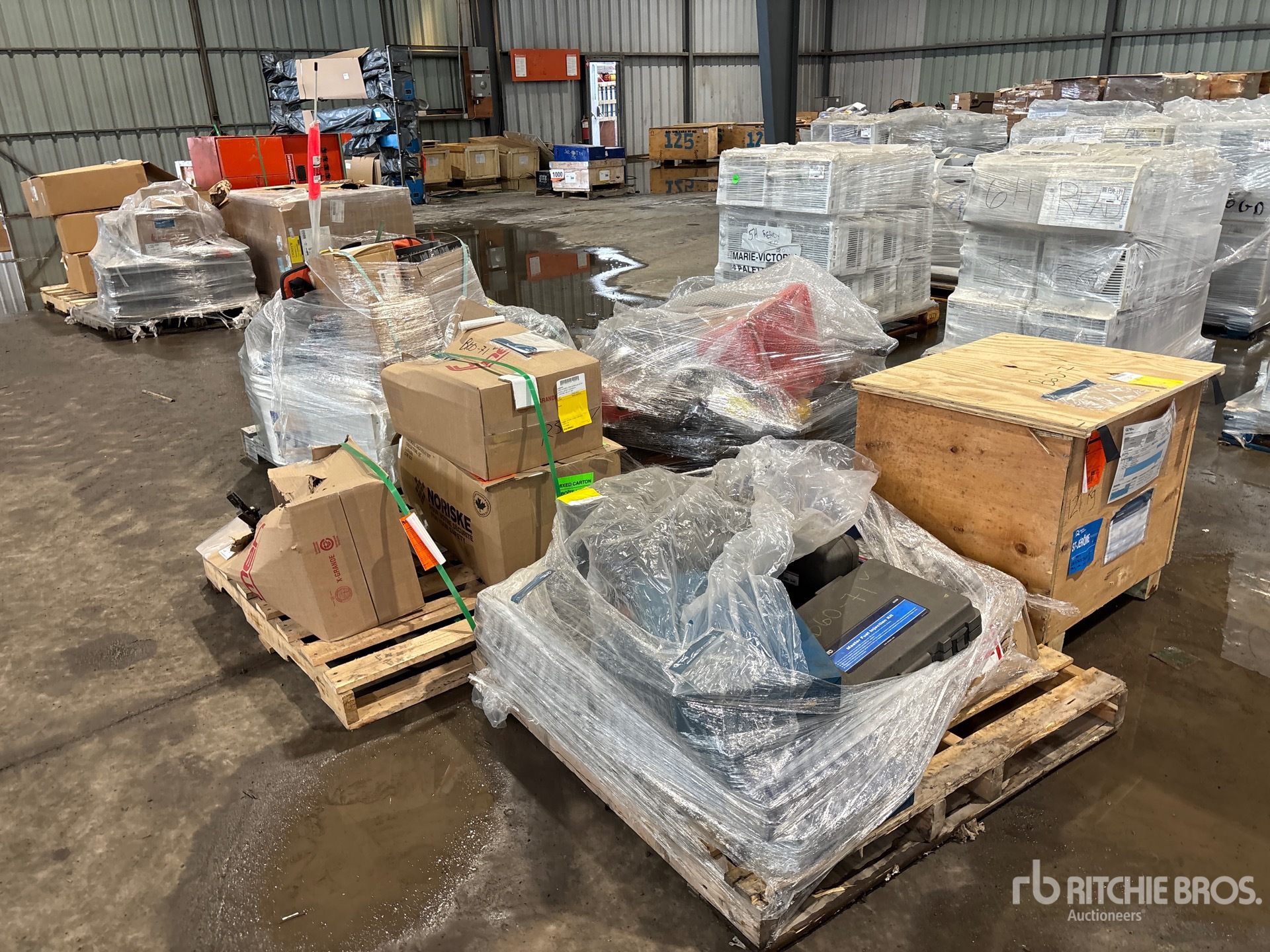 General Appearance with Bild, Ecke hinten links