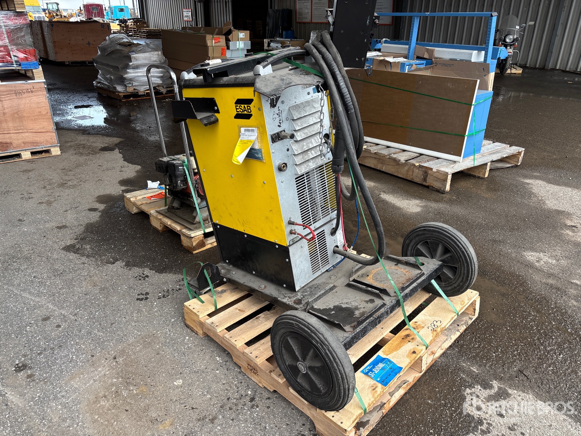 General Appearance with