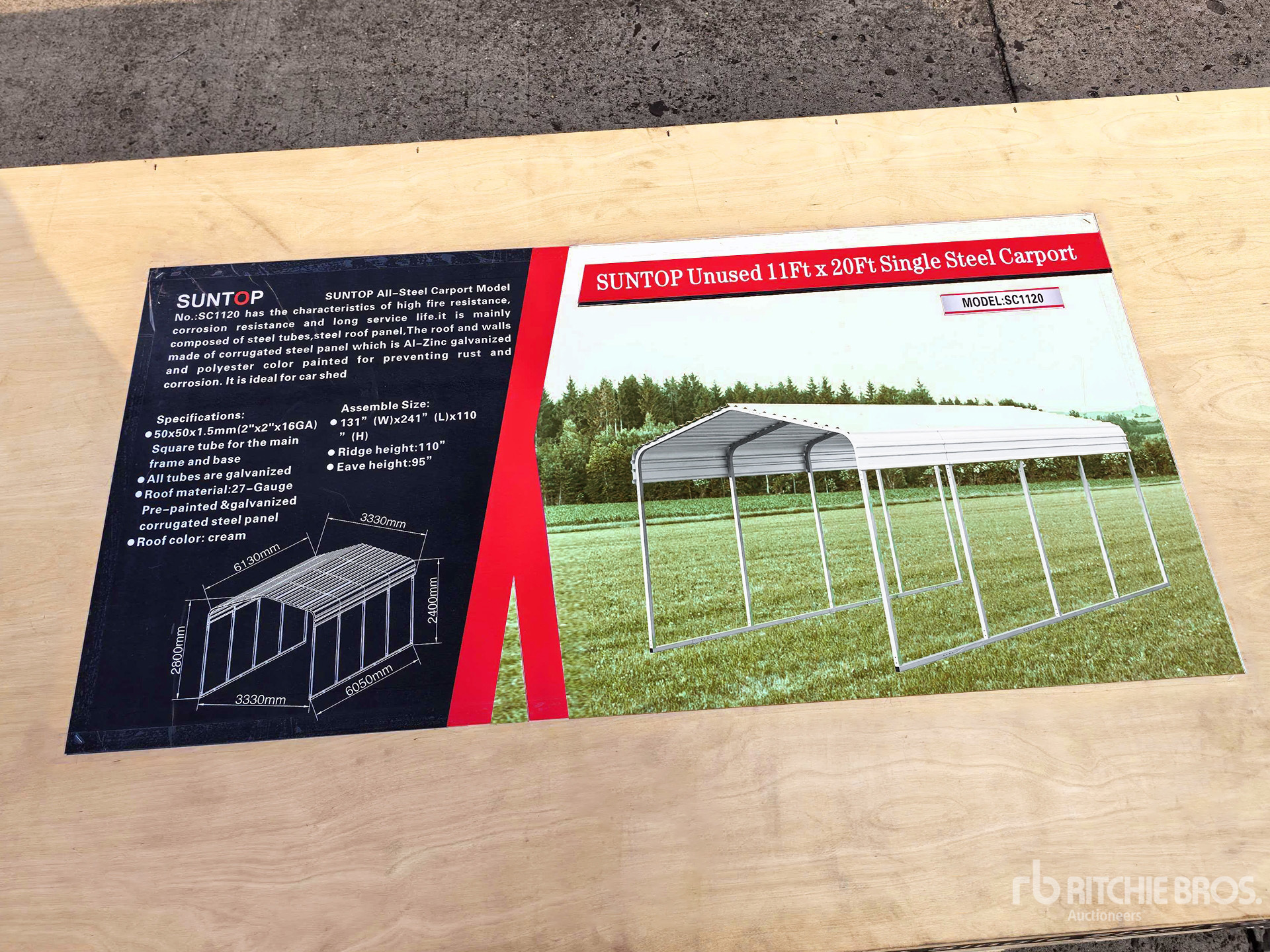 General Appearance with