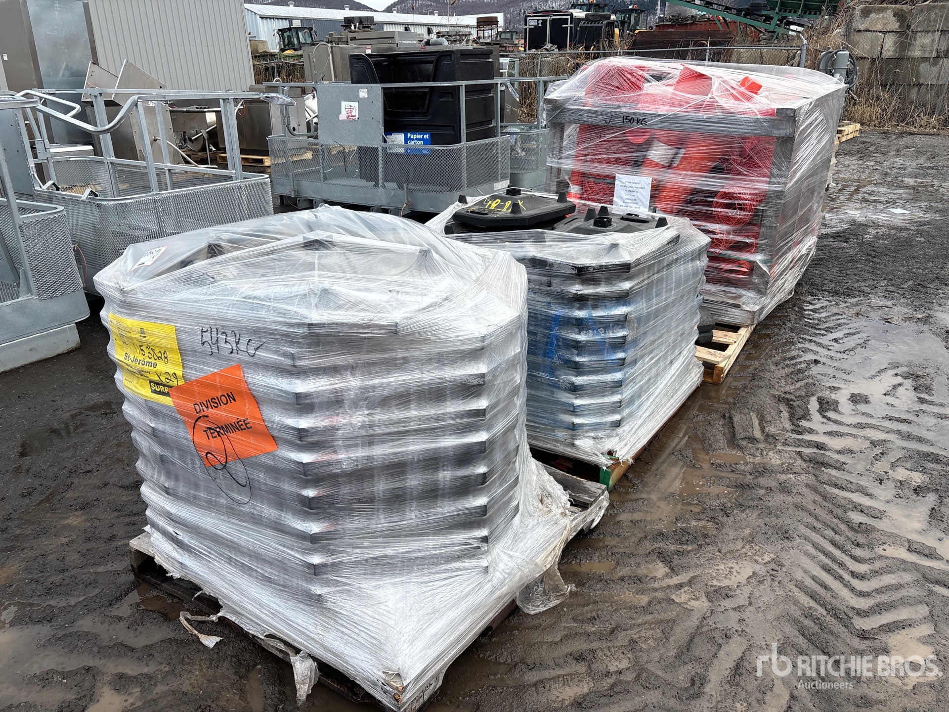 General Appearance with Bild, Ecke vorne links