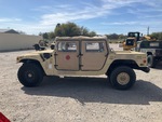 General Appearance with Paint