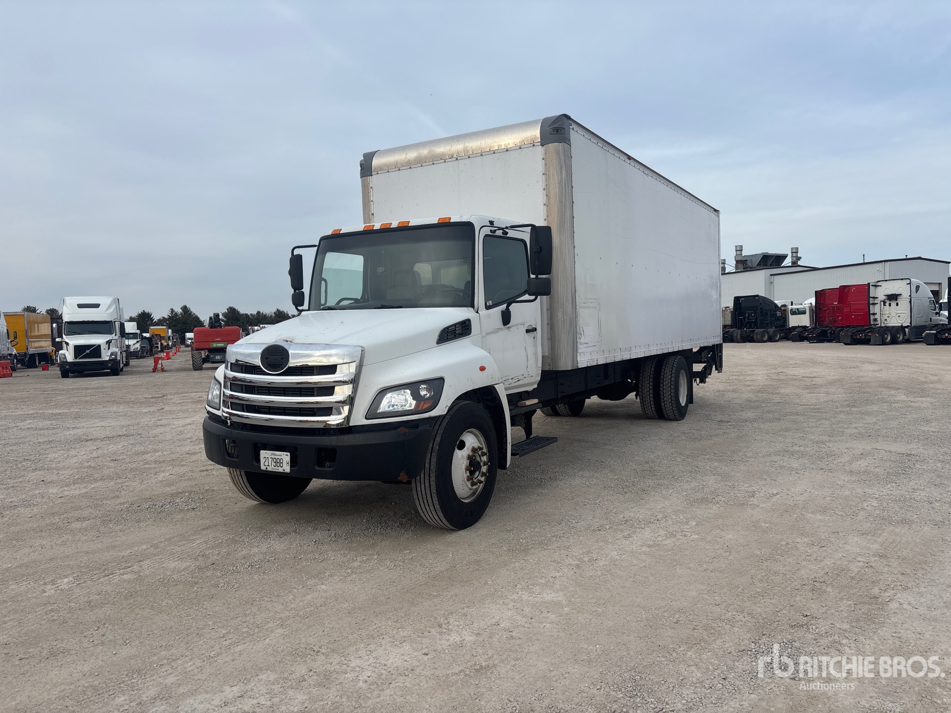 General Appearance with Spin