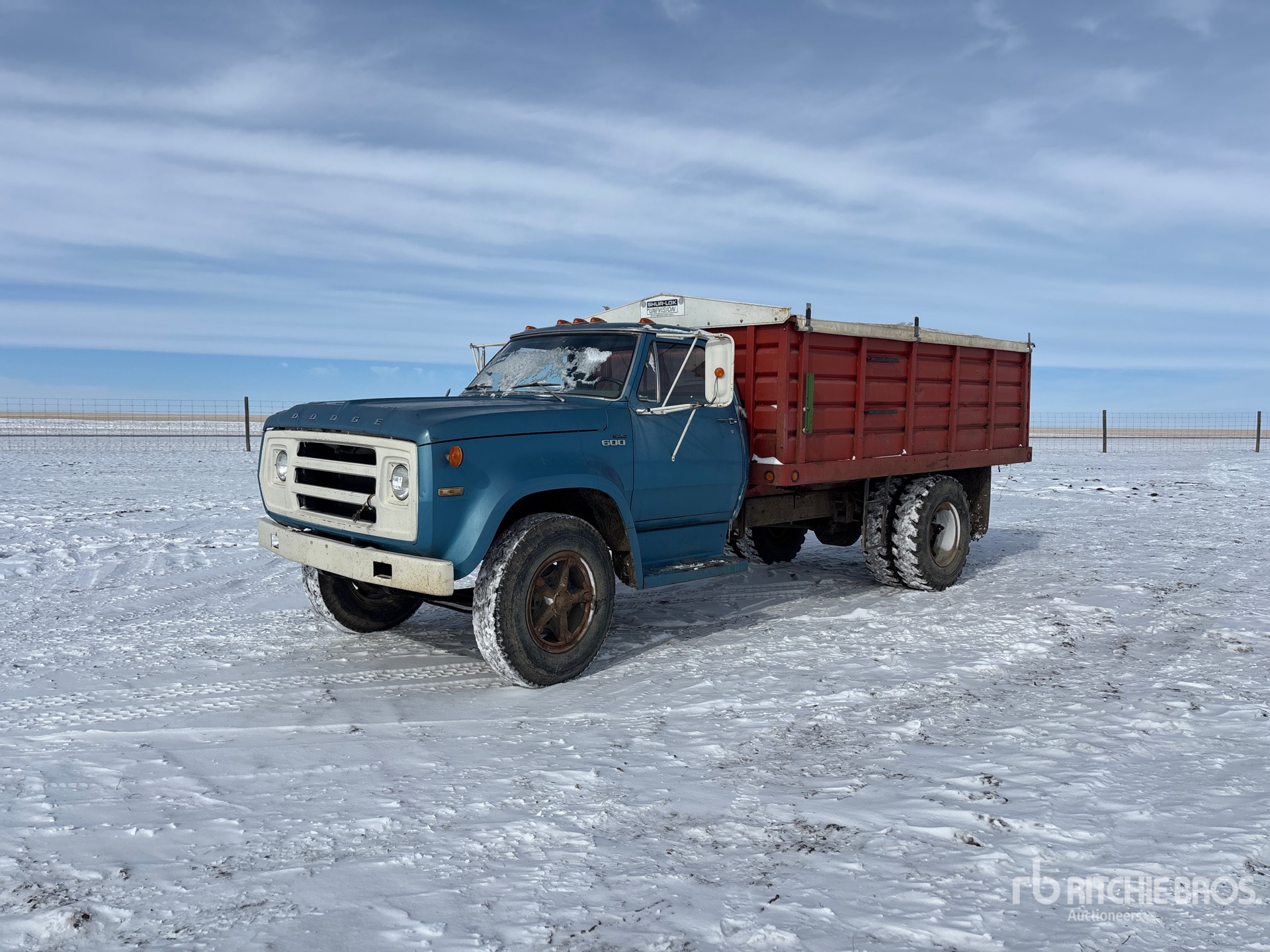 General Appearance with Spin