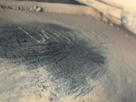 General Appearance with Second Serial Number/VIN Photo