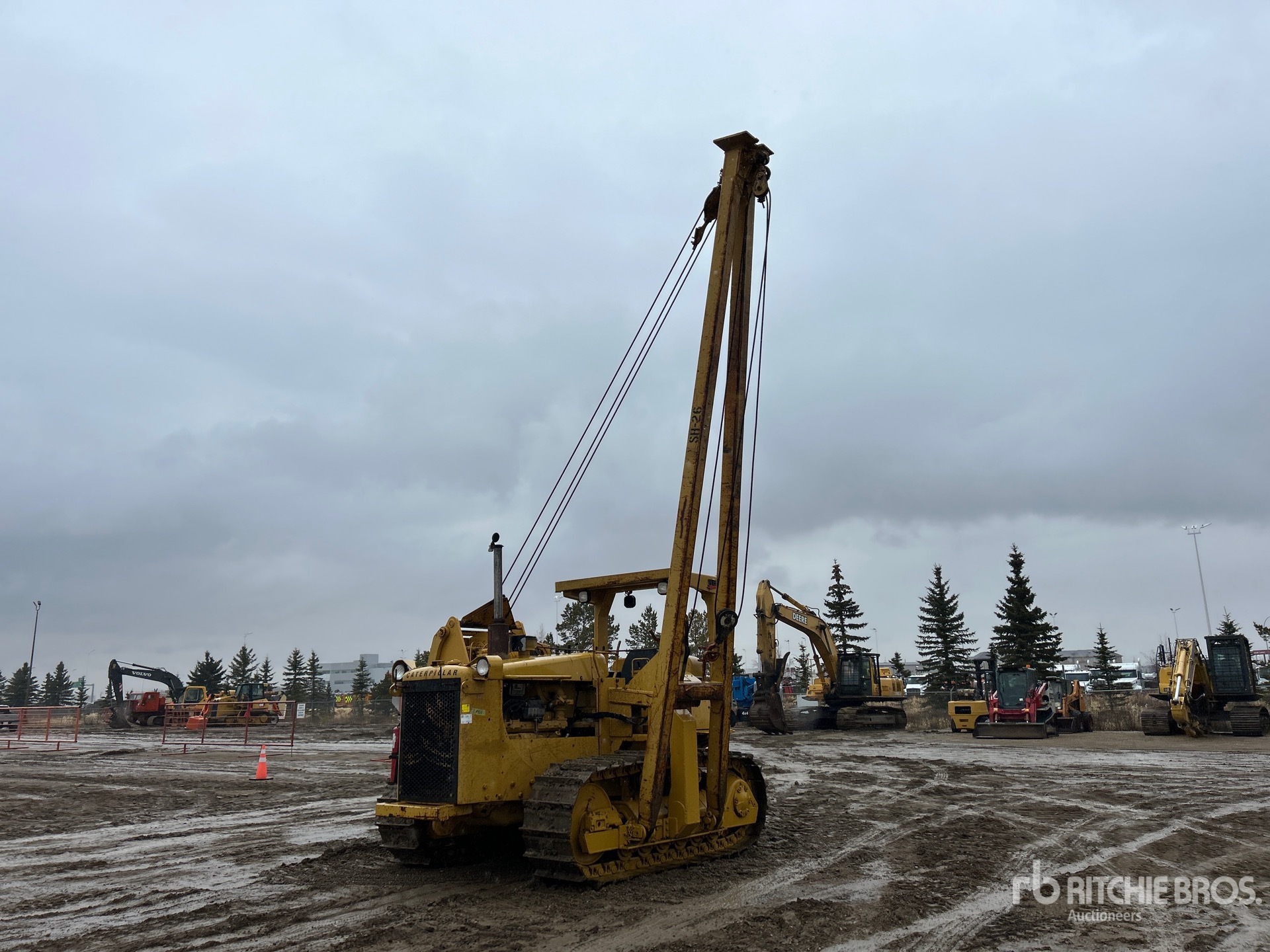 General Appearance with Spin