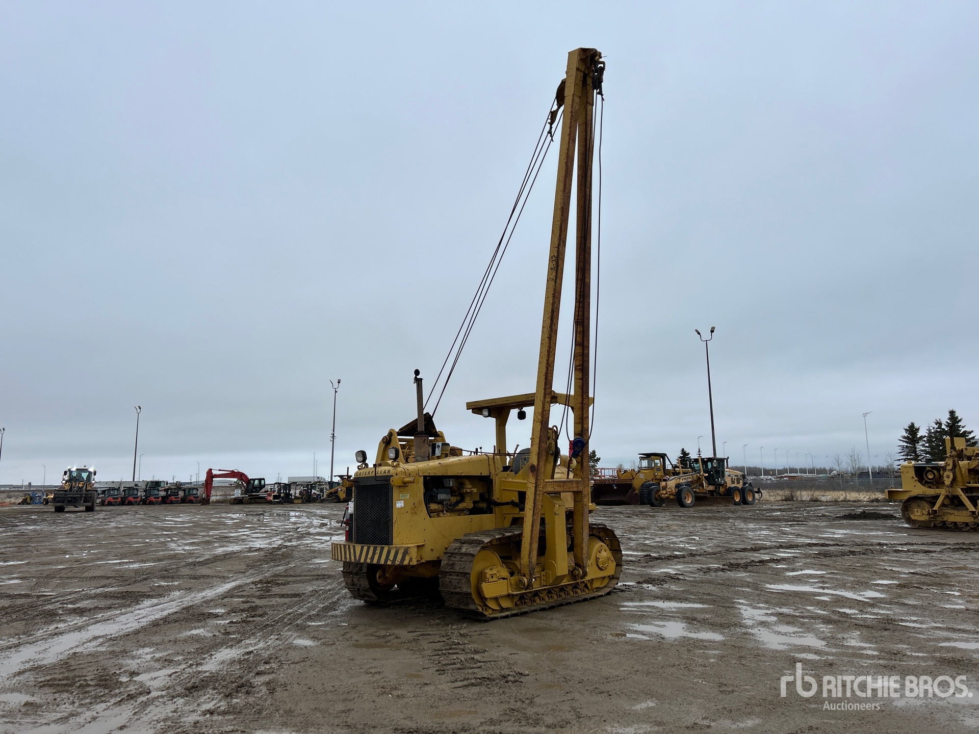 General Appearance with Spin