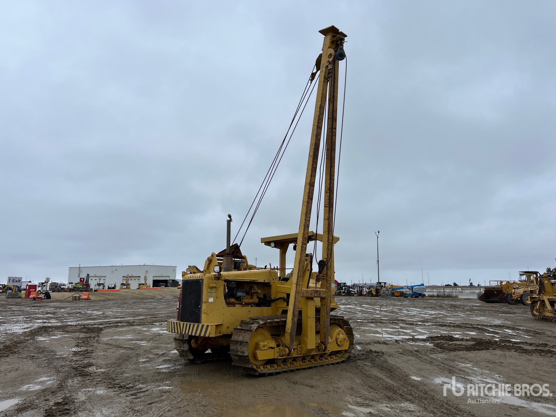 General Appearance with Spin