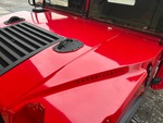 General Appearance with Paint
